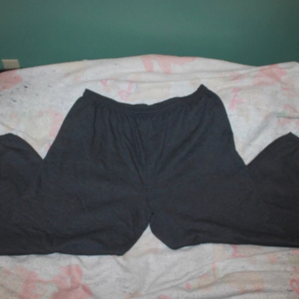 Hanes Men's Gray Elastic Waist Drawstring Sweatpants Size 2XL